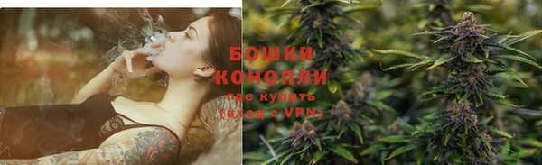 сатива Ельня