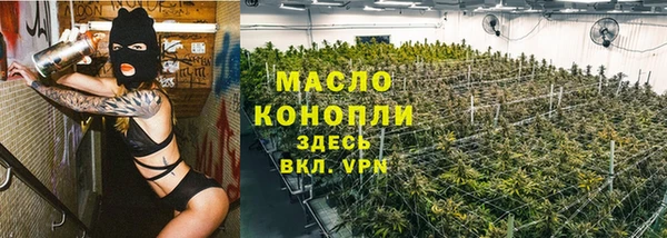 сатива Ельня
