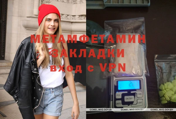 сатива Ельня