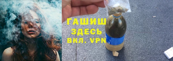 сатива Ельня