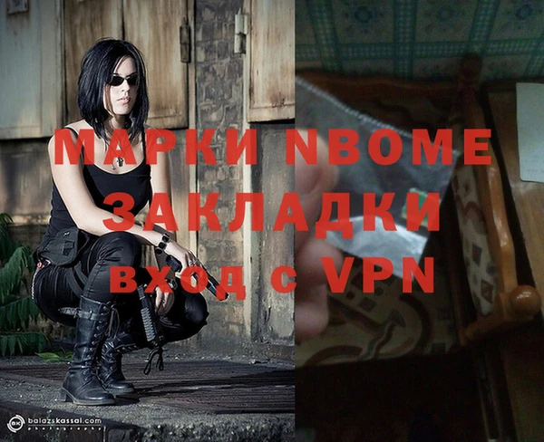 сатива Ельня