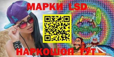индика Бийск