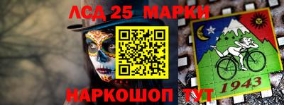 индика Бийск