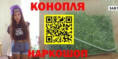 индика Бийск