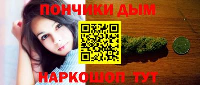 индика Бийск