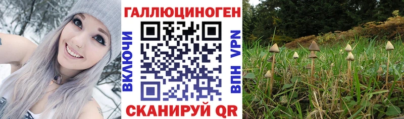 МЕГА ссылка  купить наркотик  Иваново  Псилоцибиновые грибы прущие грибы 