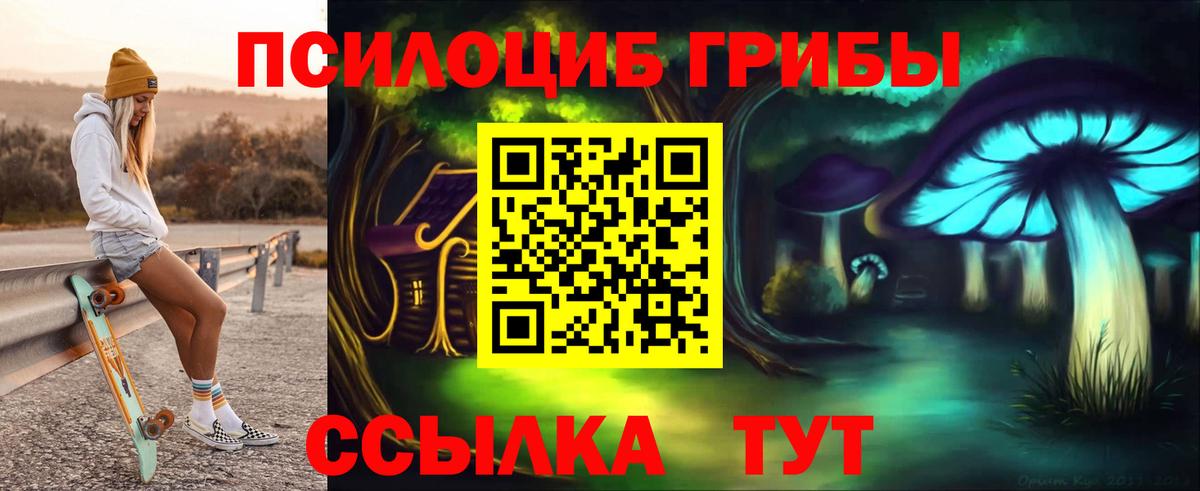 Галлюциногенные грибы Psilocybine cubensis  Вход с VPN  Иваново 